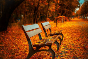 公園のベンチ」